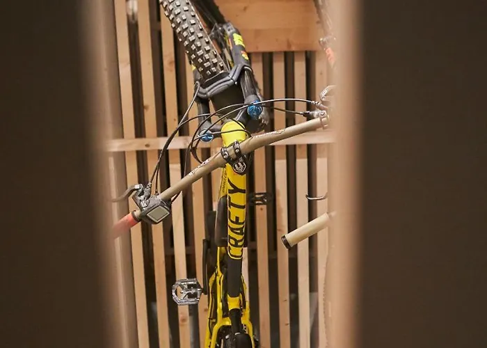 Alpenparks & Sonnleiten 公寓式酒店